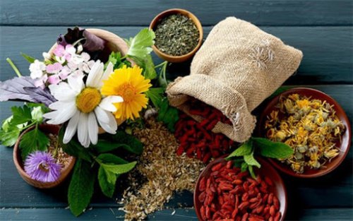  تاریخچه طب سنتی و مراکز آن در قزوین  