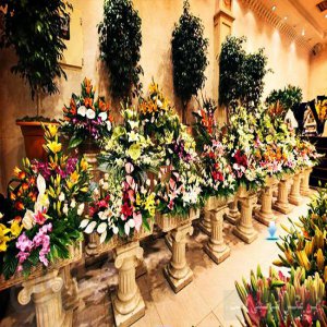 گلفروشی گل آوین قزوین