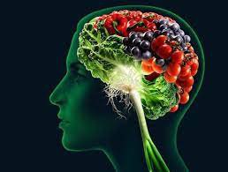 مواد غذایی عالی برای تقویت مغز و حافظه 1 
