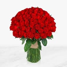طراح سایت فروشگاهی اس دی 2 قزوین